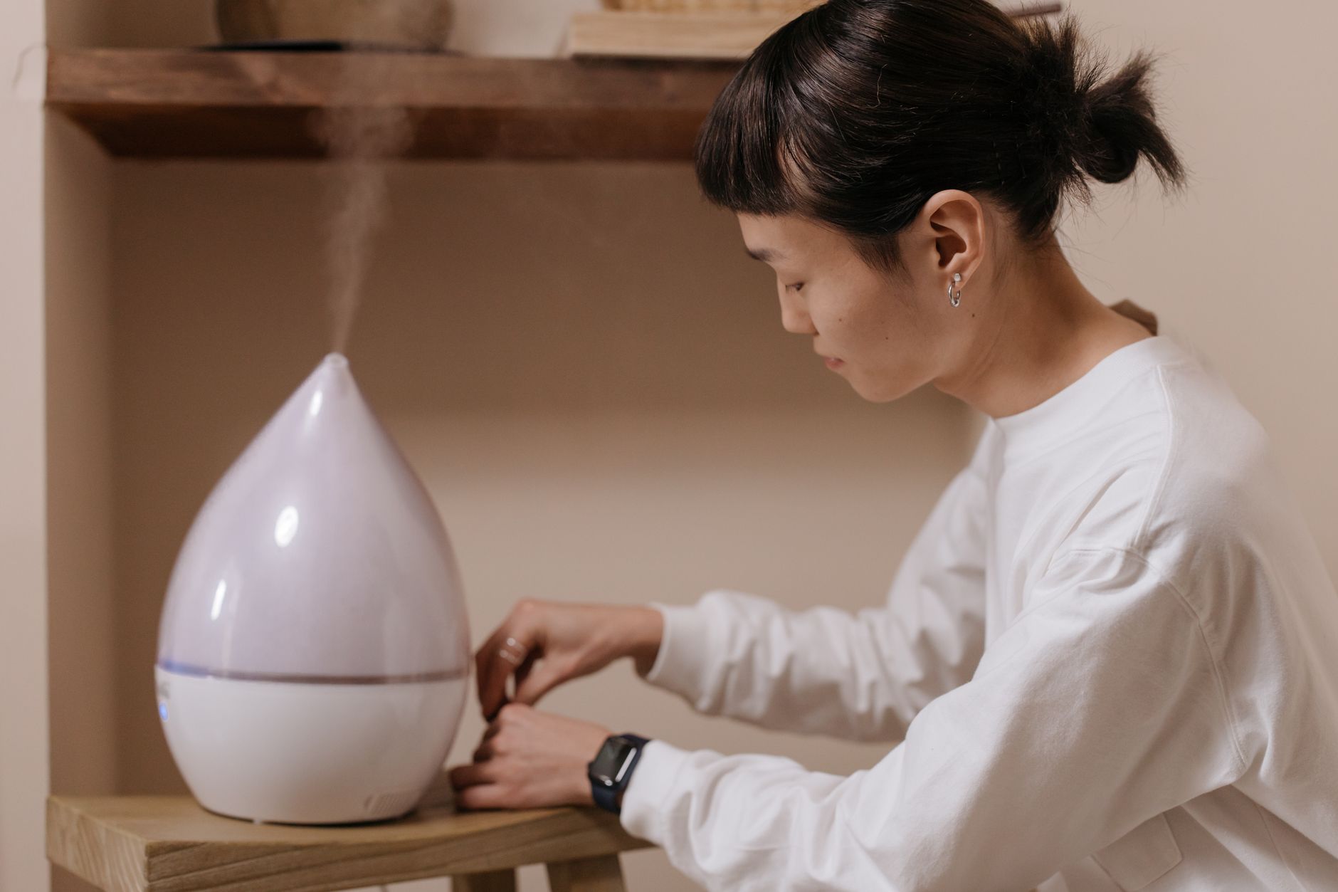 mini dryer vacuum humidifier